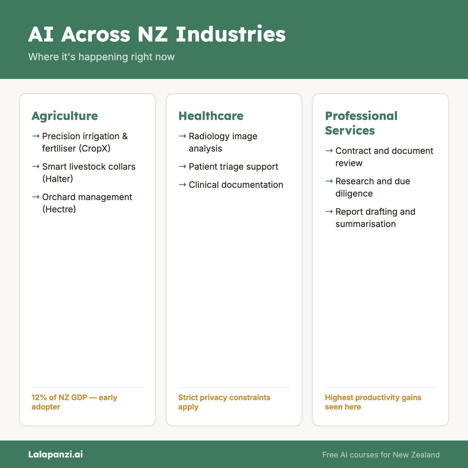 Visual overview: Module 7, Lesson 3: Industry-Specific AI Applications in NZ